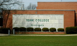 York College Pennsylvania logo