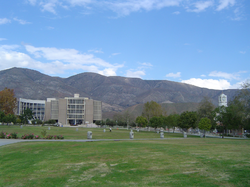 California State University, San Bernardino logo