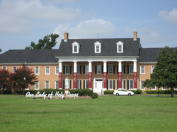 Our Lady of Holy Cross College logo